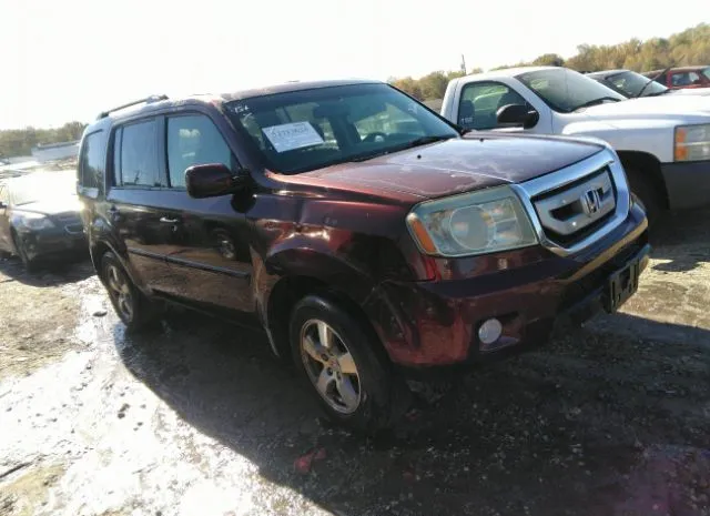 HONDA PILOT 2010 5fnyf3h51ab017654