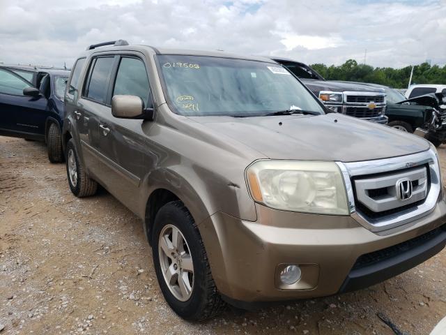 HONDA PILOT EXL 2010 5fnyf3h51ab019503