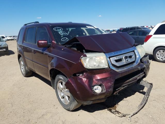 HONDA PILOT EXL 2010 5fnyf3h51ab021932