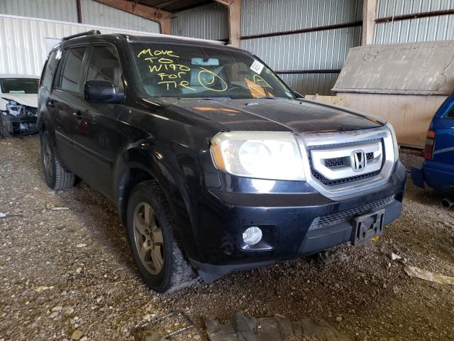 HONDA PILOT EXL 2011 5fnyf3h51bb001973