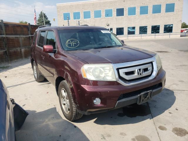 HONDA PILOT EXL 2011 5fnyf3h51bb007143