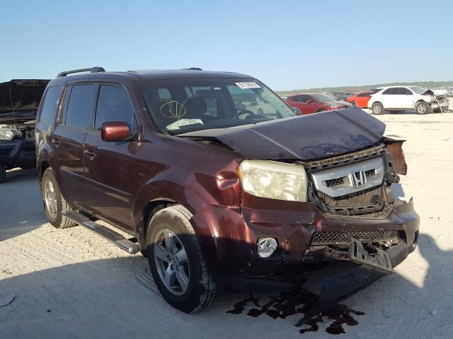 HONDA PILOT EXL 2010 5fnyf3h52ab009031