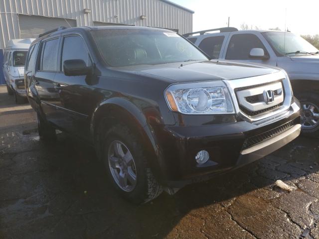 HONDA PILOT EXL 2010 5fnyf3h52ab013404