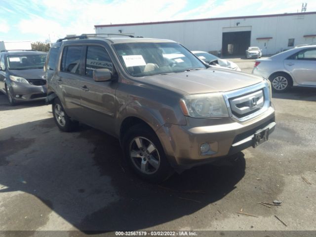 HONDA PILOT 2010 5fnyf3h52ab014195