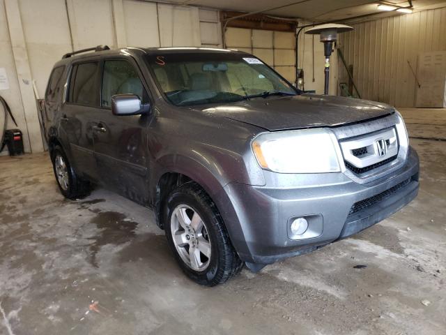 HONDA PILOT EXL 2010 5fnyf3h52ab015895