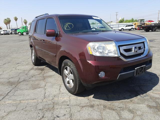 HONDA PILOT EXL 2011 5fnyf3h52bb022671