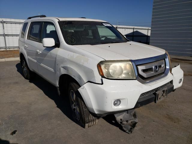 HONDA PILOT EXL 2011 5fnyf3h52bb025571