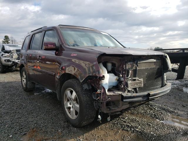 HONDA PILOT EXL 2011 5fnyf3h52bb030270