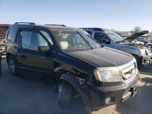 HONDA PILOT EXL 2010 5fnyf3h53ab006753