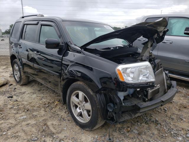 HONDA PILOT EXL 2010 5fnyf3h53ab010205