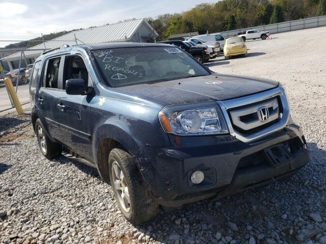 HONDA PILOT EXL 2010 5fnyf3h53ab011144