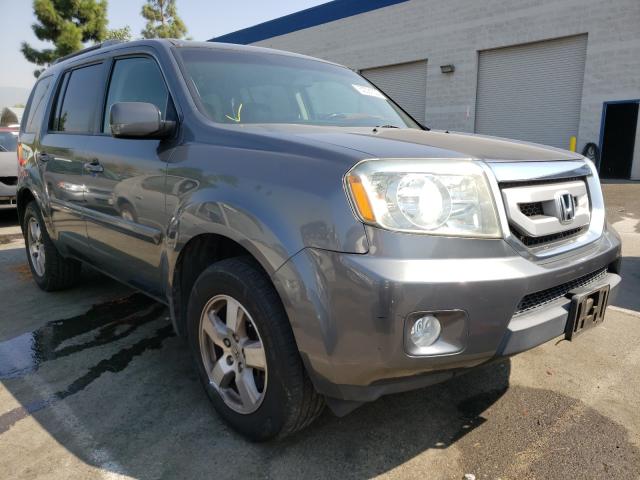 HONDA PILOT EXL 2010 5fnyf3h53ab016019