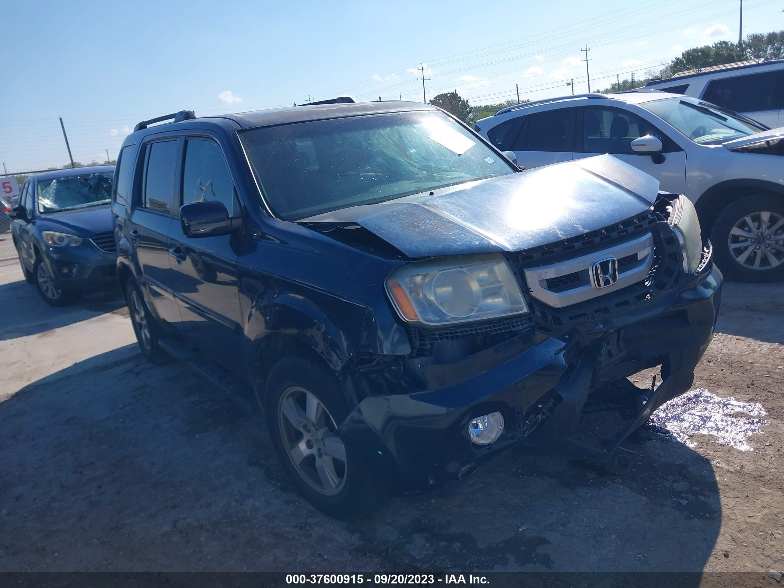 HONDA PILOT 2010 5fnyf3h53ab022838