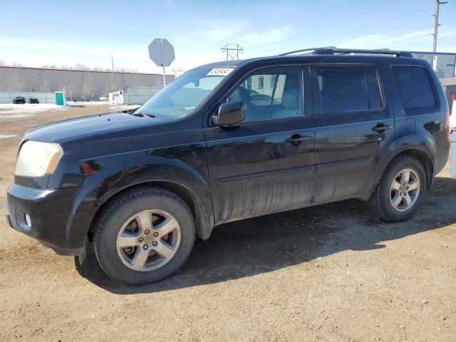 HONDA PILOT 2011 5fnyf3h53bb039530