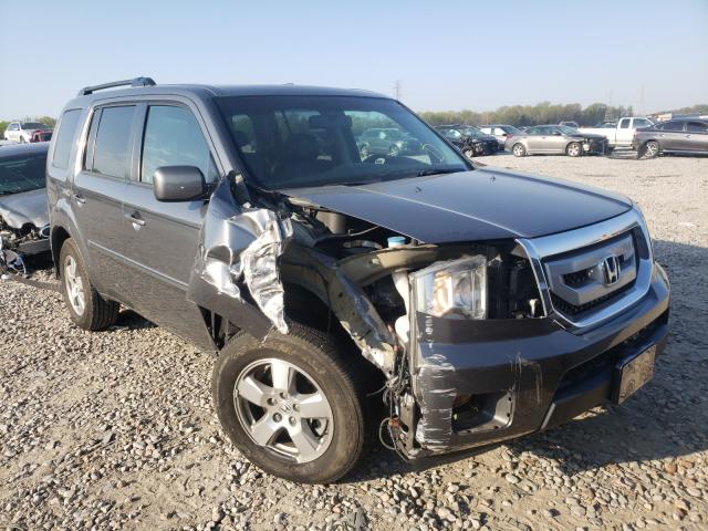 HONDA PILOT EXL 2011 5fnyf3h53bb040287