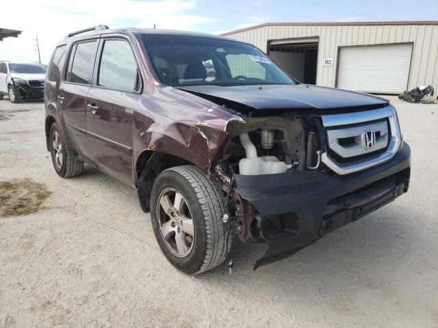 HONDA PILOT EXL 2011 5fnyf3h53bb051919