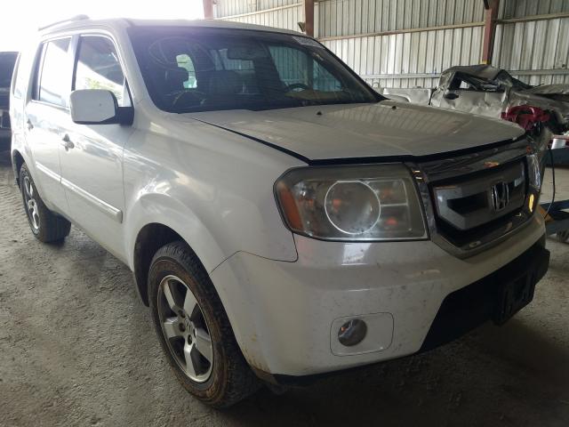 HONDA PILOT EXL 2010 5fnyf3h54ab005384