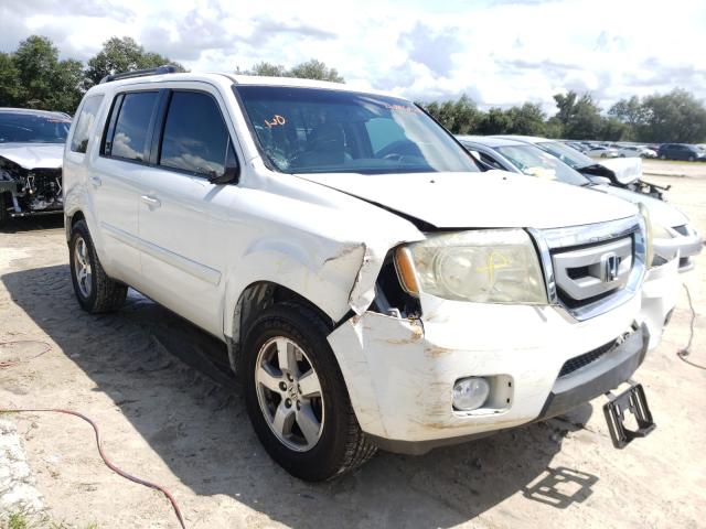 HONDA PILOT EXL 2010 5fnyf3h54ab011234