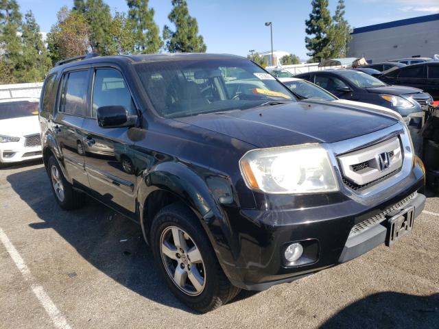 HONDA PILOT EXL 2010 5fnyf3h54ab013355