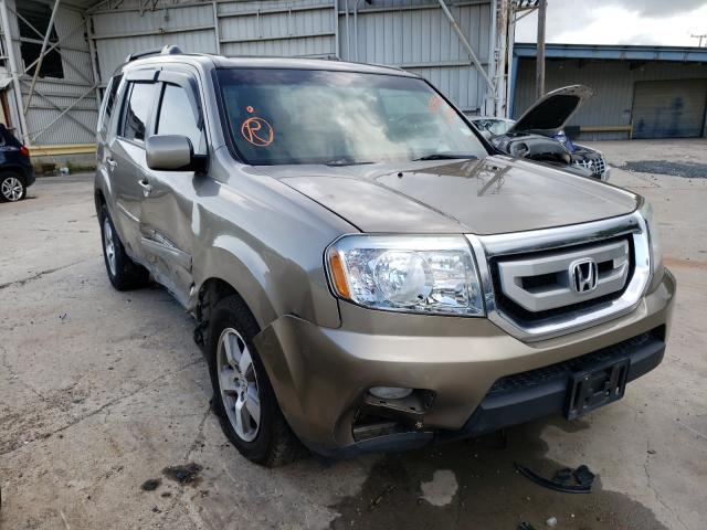 HONDA PILOT EXL 2010 5fnyf3h54ab020970