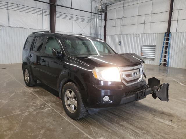 HONDA PILOT EXL 2011 5fnyf3h54bb012997