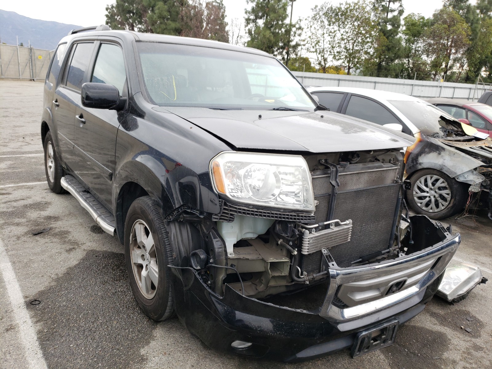 HONDA PILOT EXL 2011 5fnyf3h54bb022168