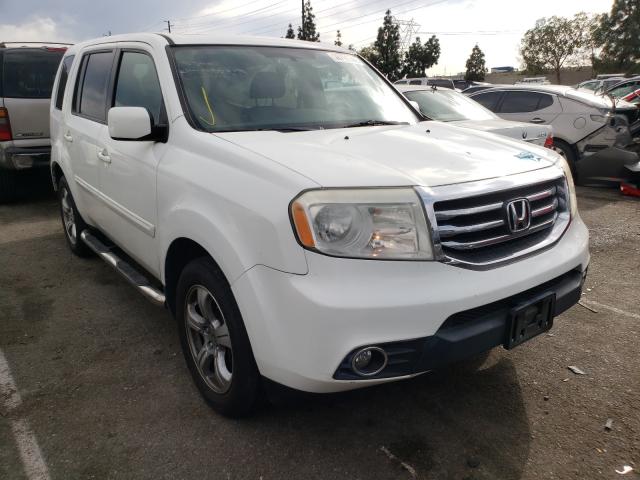 HONDA PILOT EXL 2013 5fnyf3h54db039393