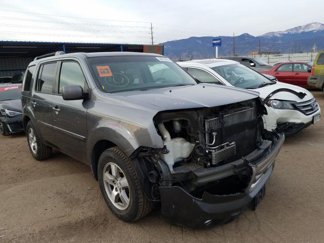 HONDA PILOT EXL 2010 5fnyf3h55ab010027