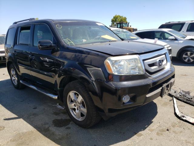 HONDA PILOT EXL 2011 5fnyf3h55bb012250