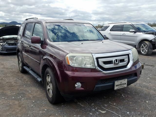 HONDA PILOT EXL 2011 5fnyf3h55bb012278