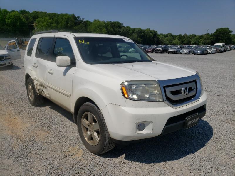 HONDA PILOT EXL 2011 5fnyf3h55bb016816