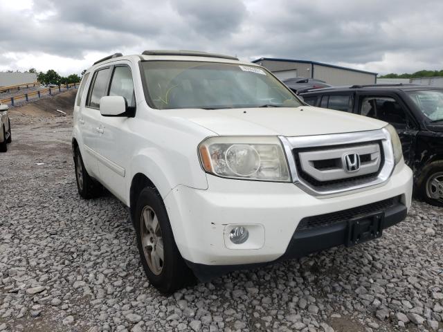 HONDA PILOT EXL 2011 5fnyf3h55bb016900