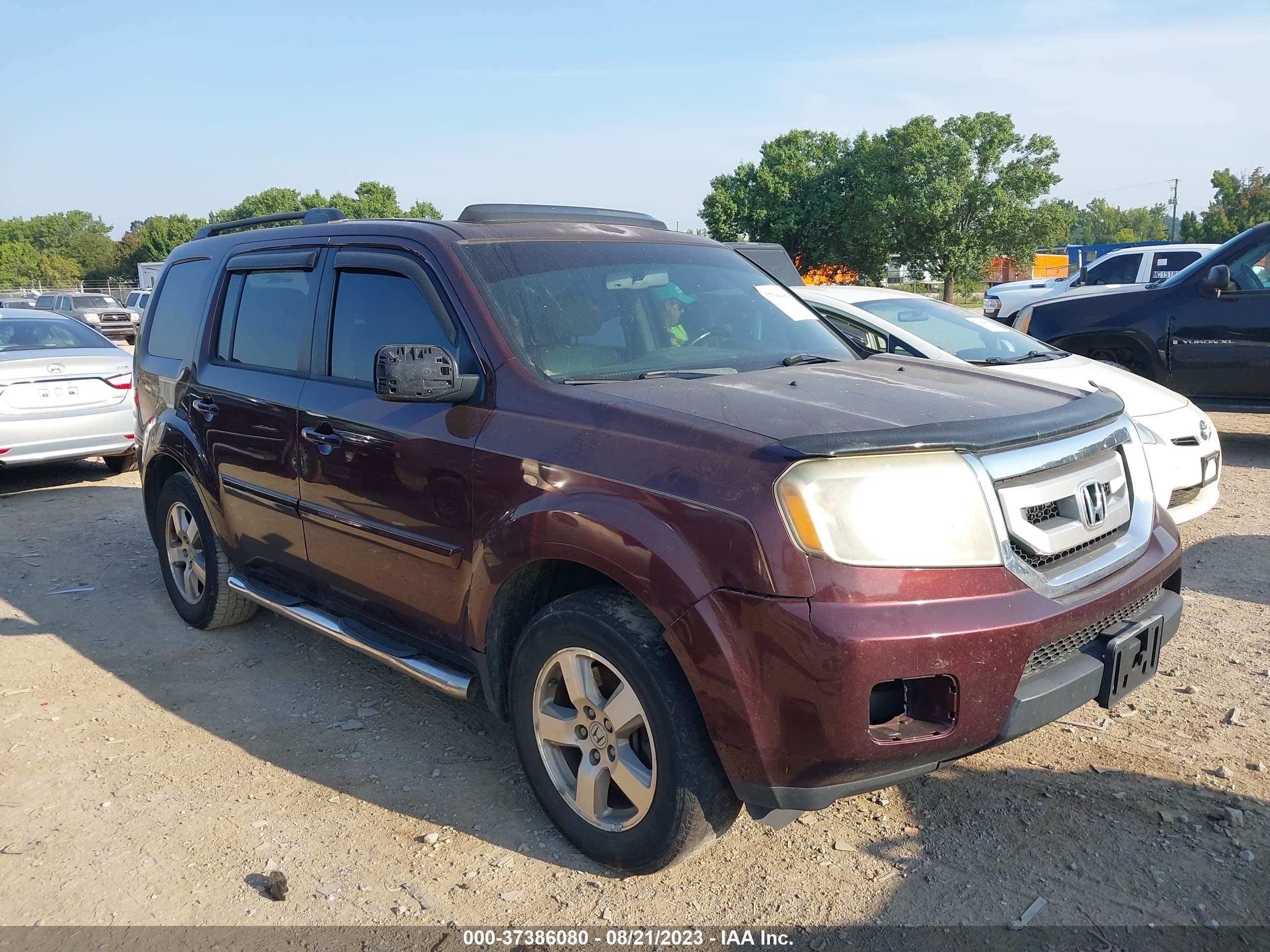 HONDA PILOT 2011 5fnyf3h55bb030229