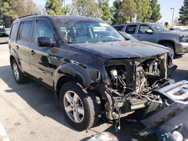 HONDA PILOT EXL 2011 5fnyf3h55bb039920