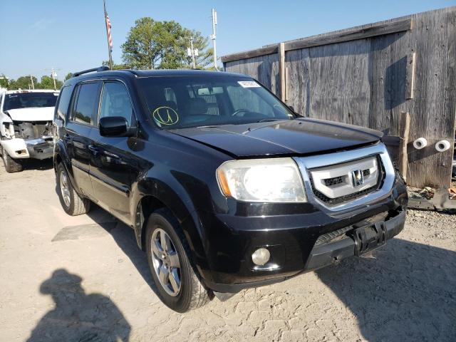 HONDA PILOT EXL 2011 5fnyf3h55bb040534