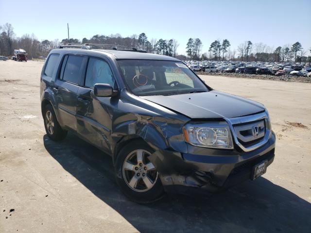 HONDA PILOT EXL 2011 5fnyf3h55bb050237