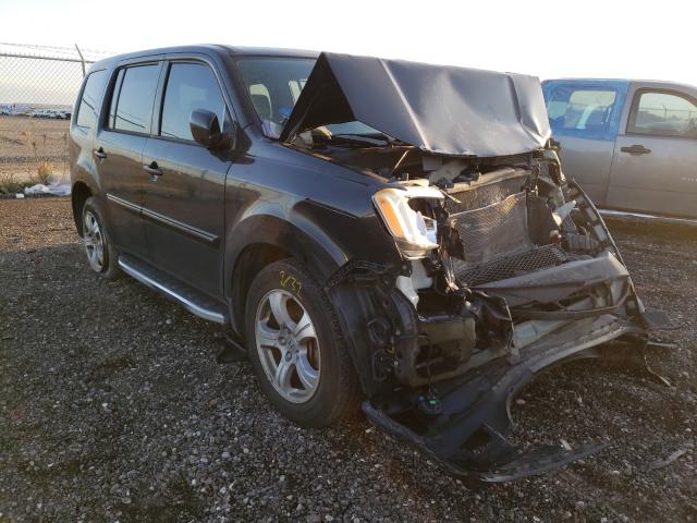 HONDA PILOT EXL 2013 5fnyf3h55db004751