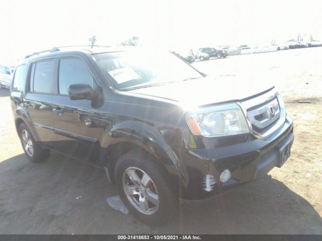 HONDA PILOT 2010 5fnyf3h56ab012692