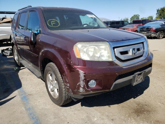 HONDA PILOT EXL 2010 5fnyf3h56ab014216