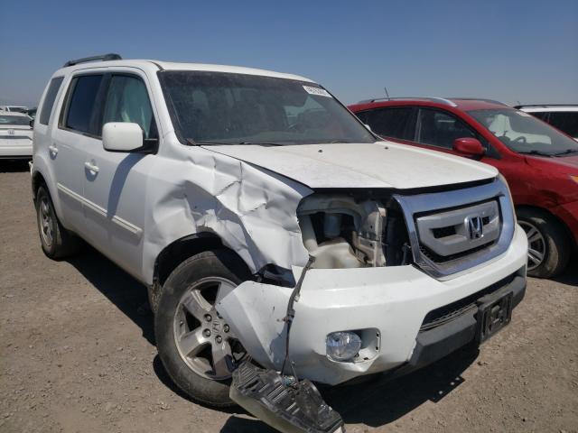 HONDA PILOT EXL 2010 5fnyf3h57ab001068