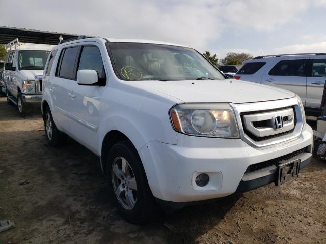 HONDA PILOT EXL 2010 5fnyf3h57ab003905