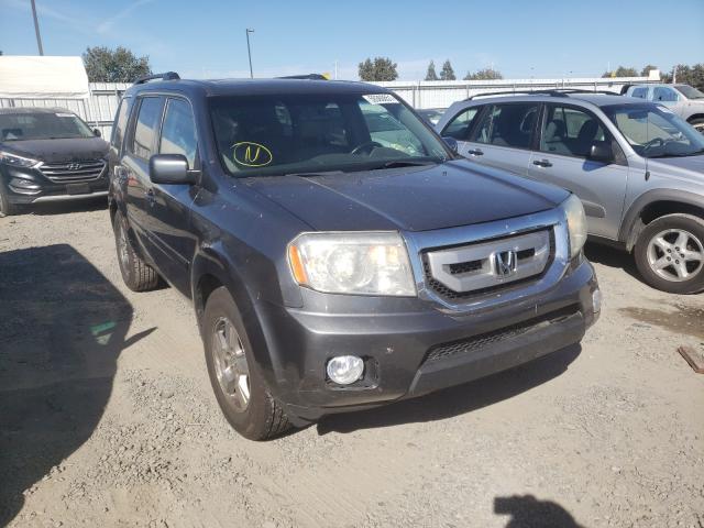 HONDA PILOT EXL 2010 5fnyf3h57ab022096