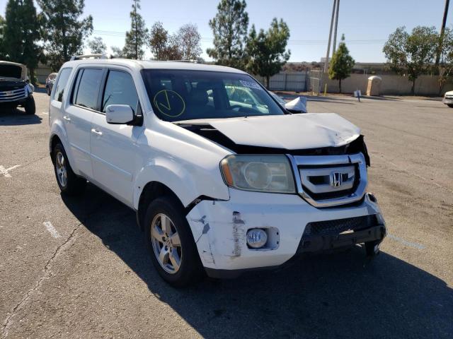 HONDA PILOT EXL 2011 5fnyf3h57bb011939