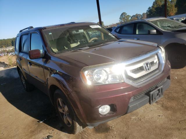 HONDA PILOT EXL 2011 5fnyf3h57bb024741