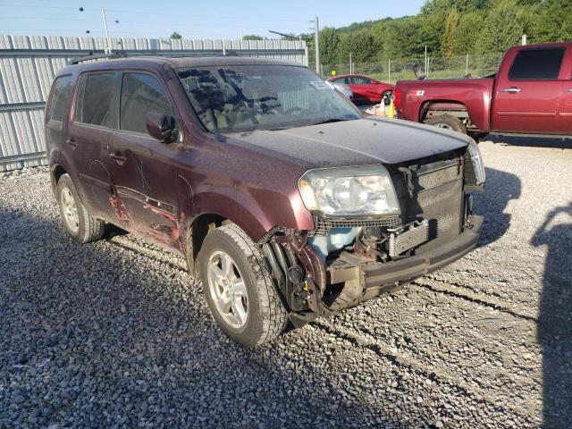 HONDA PILOT EXL 2011 5fnyf3h57bb050370