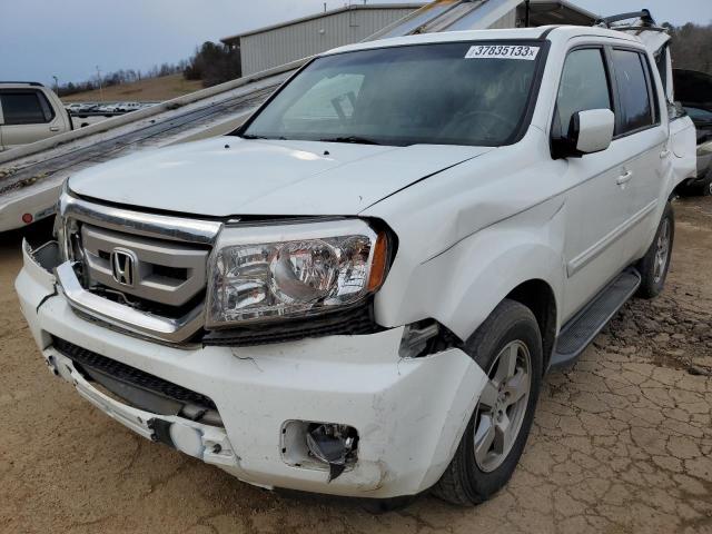 HONDA PILOT EXL 2010 5fnyf3h58ab008109