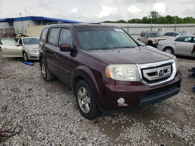 HONDA PILOT EXL 2010 5fnyf3h58ab009440