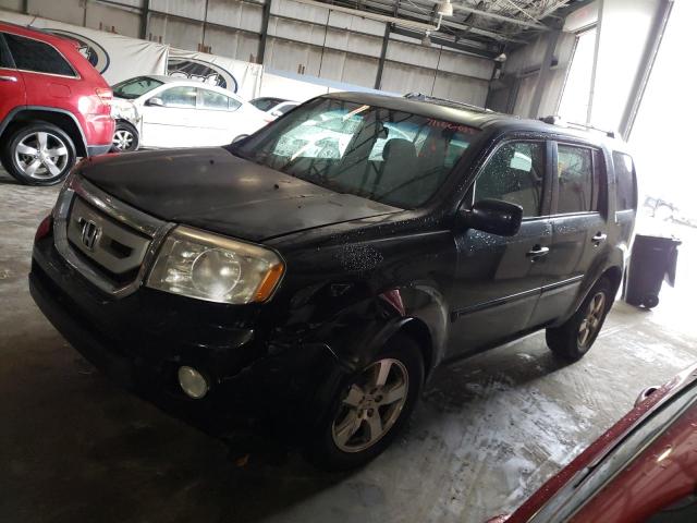 HONDA PILOT EXL 2010 5fnyf3h58ab015738