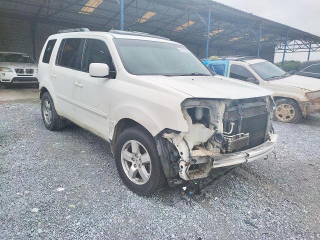 HONDA PILOT EXL 2010 5fnyf3h58ab021202