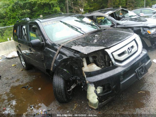 HONDA PILOT 2011 5fnyf3h58bb001971